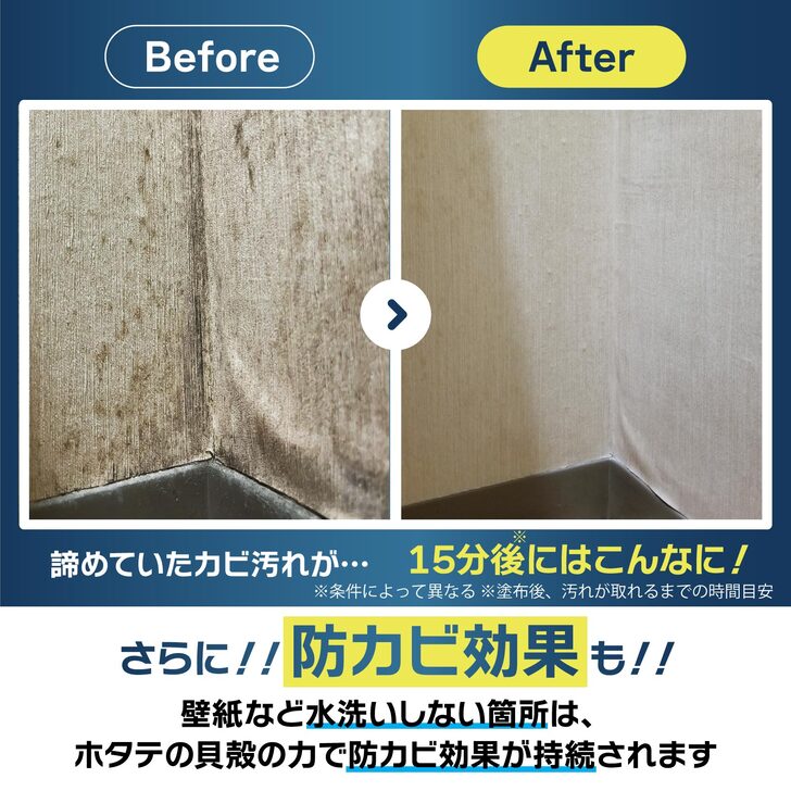 カビ取りバブルPRO (3個セット)